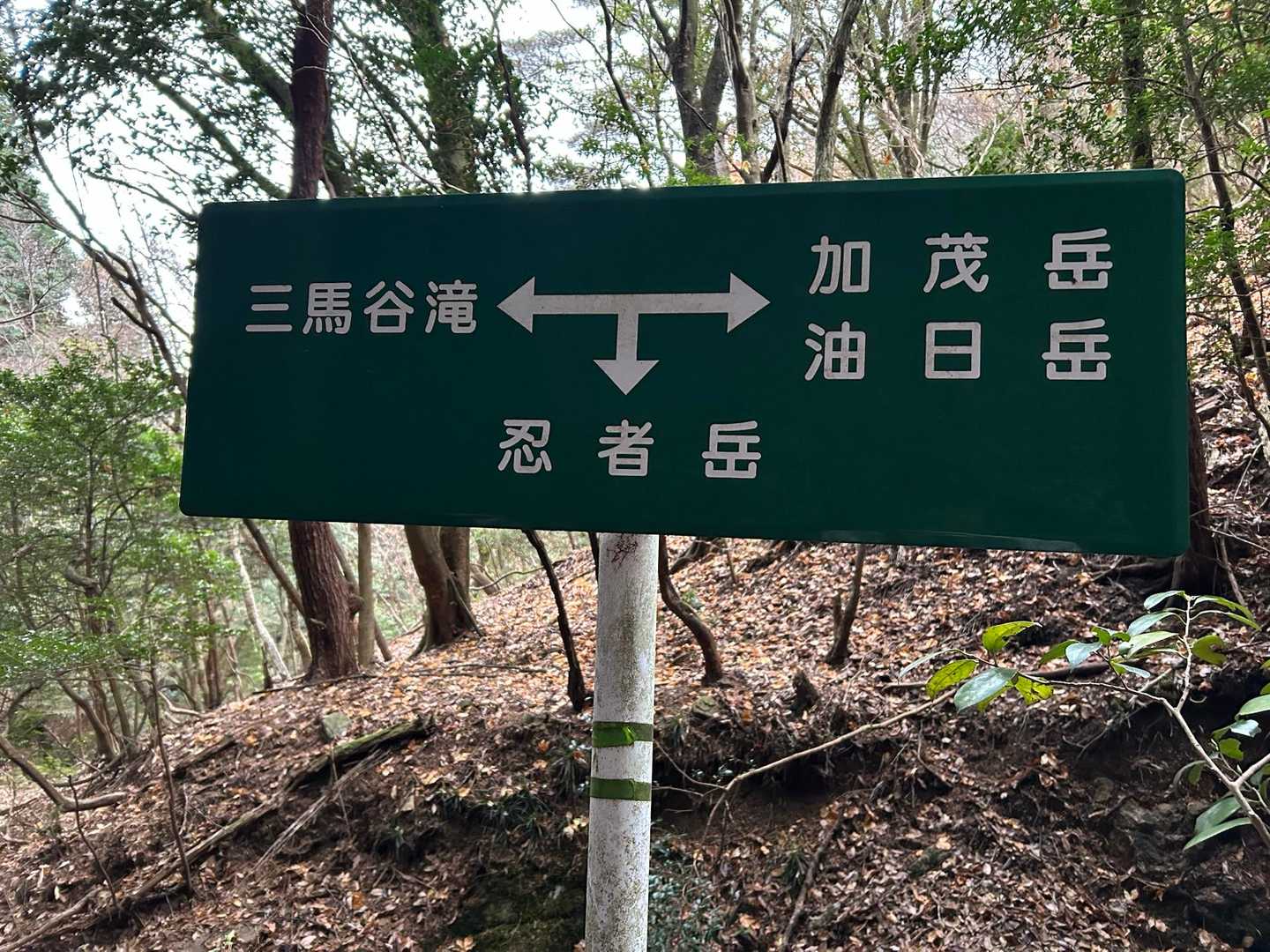 まずは油日岳へ