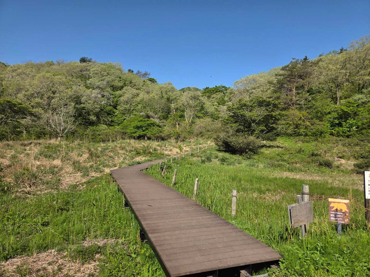 下蒜山登山口、ここからスタートです🎵
駐車場🅿️は２か所あります🚗
