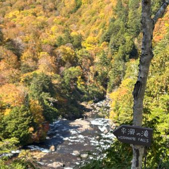 「平滑の滝」‼️ ※ひらなめのたき
尾瀬沼から流れ出る沼尻川などがヨッピ川と合流し、ここまで来ているので水量が多くなります♪