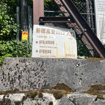 ここが核心なのでは。ラストピークへの登山口。