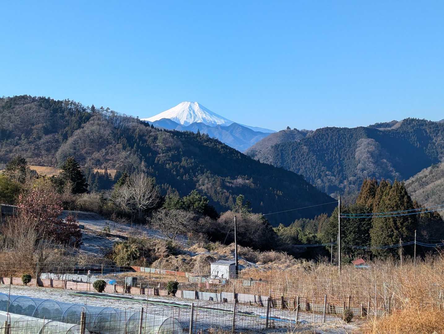 歩き出すと早々に富士山ドーン！