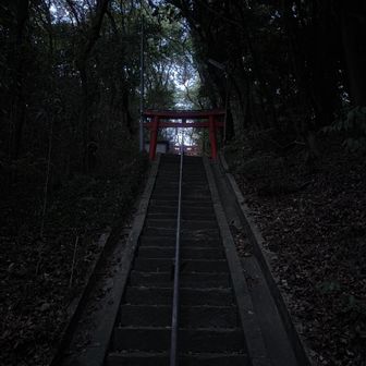 日没するとあたりは薄暗い。
随分早い日暮れになってきた。