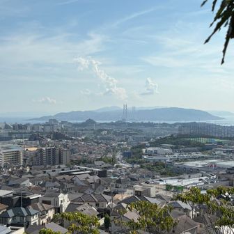 明石海峡大橋に淡路島再び。3年前までココの地下トンネルを伝わって🚗、向こうまで何往復したやら…😶
