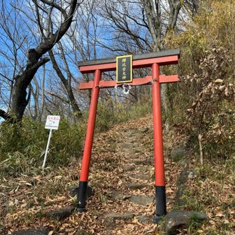 本日の山は終了
あとは鶴橋へ😋
