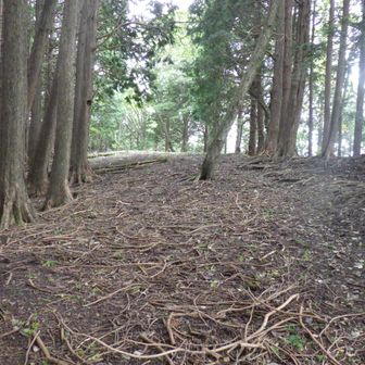 これが本当の頂上