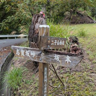 魚尾道峠登山口まで来ました。ここから二子山登山口まで車道です。二子山登山口からバス停までは行きと同じ道です。