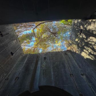 旧:大房岬要塞跡地にも立ち寄ってみました

江戸時代の末、黒船来襲に幕府はあわてて江戸の防衛のために各地に台場（要塞） を建設しました。東京湾の入り口に当たる大房岬にも弘化４年(1847)に１０挺の大筒が備えられたそうです

なんとなく怖い雰囲気があります。トンネル内に足を踏み入れたら入口（出口）のシャッターが閉まり（そんなもん無いけど）、天井の蓋は閉められ（そんなもんないけど）閉じ込められてしまいそうな...考え過ぎ？