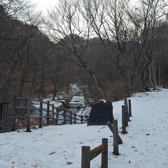 フランス式階段工の横を登っていく。
ニホンリスがいたが、おとなしくカメラに収まるわけもない。