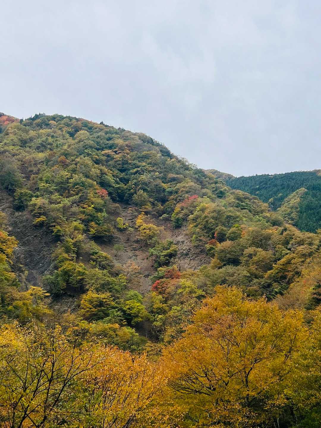 山は紅葉が美しい
晴れたらもっと綺麗だろうに