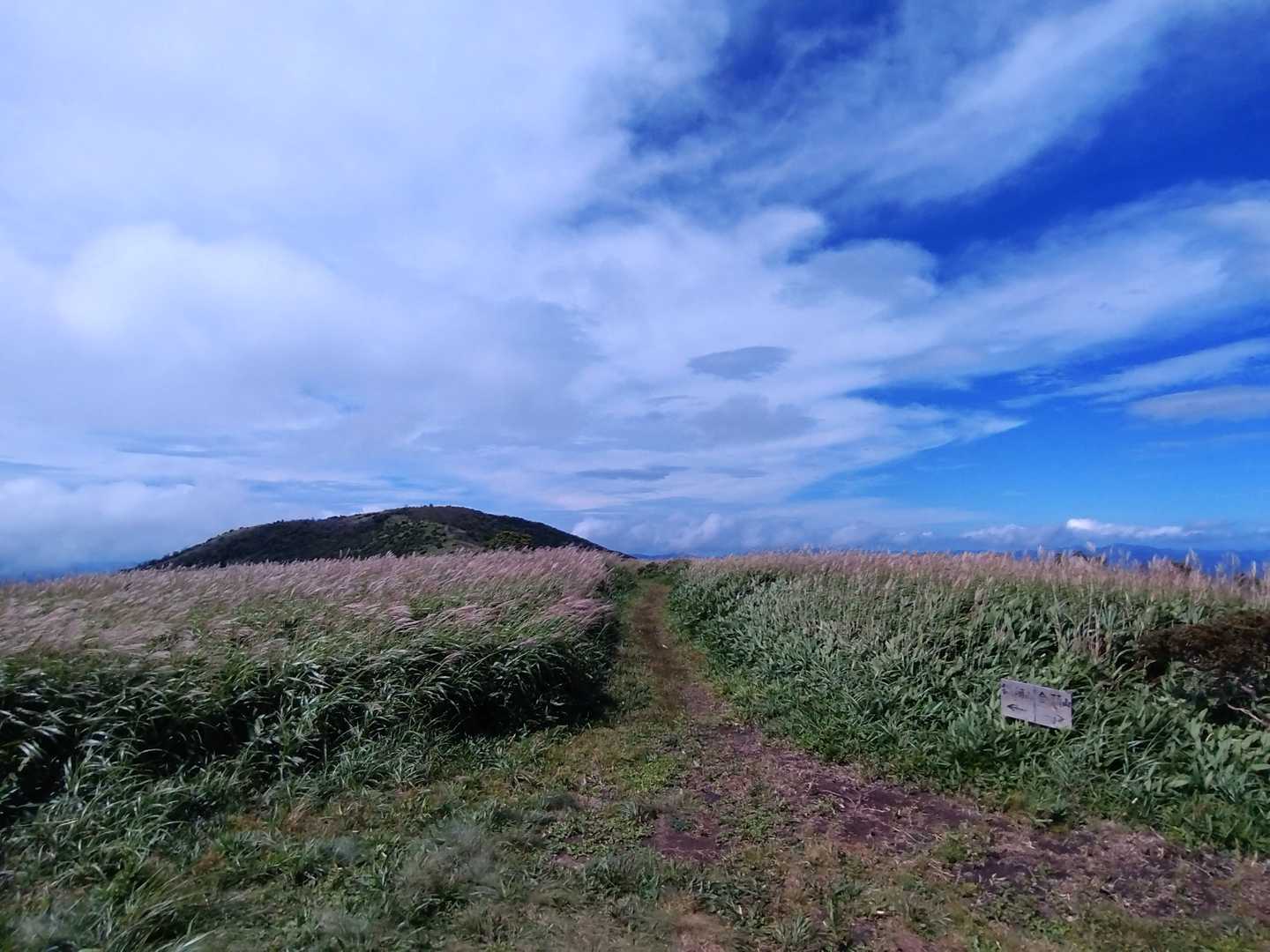 再び分岐点に戻って。
猟師山には行かず戻ります。
