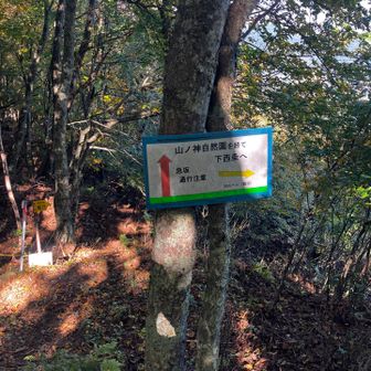 急登だけどスムースな路面