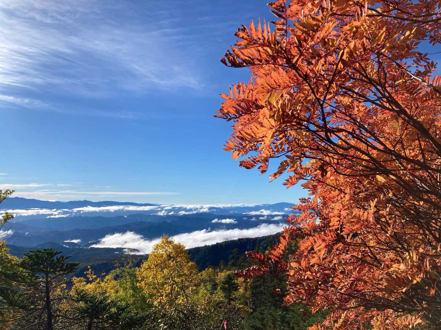 御嶽山（御嶽ロープウェイ利用）　往復コースの写真