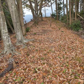 先に展望よさげな場所が
雨降りそうだけど
あの先まで行かないと…登った事にはならなそう…天の声が聞こえてきましたんで