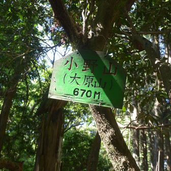「小野山」に到着
大原山ともいうらしい。