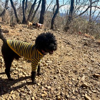 今日もよろしく
