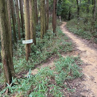 左に下ります。