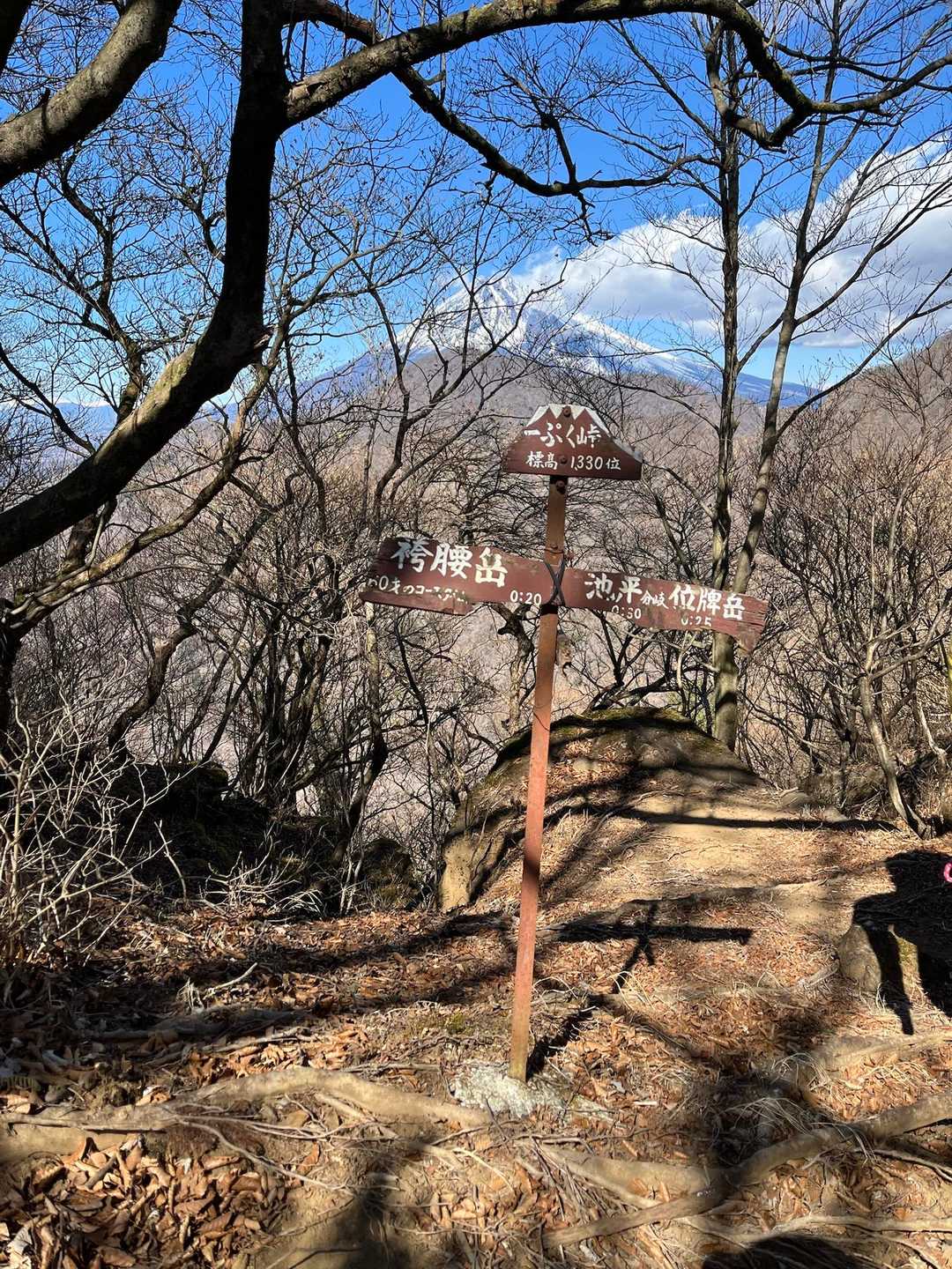 愛鷹山登山口-愛鷹山-馬場平-袴腰岳-一服峠 周回コースの写真