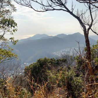 あの奥の山まで行くらしい。ほんとに日が落ちるまでに行けるのか…？と疑問が沸く