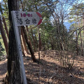 落合橋標識まで戻って、右へ。