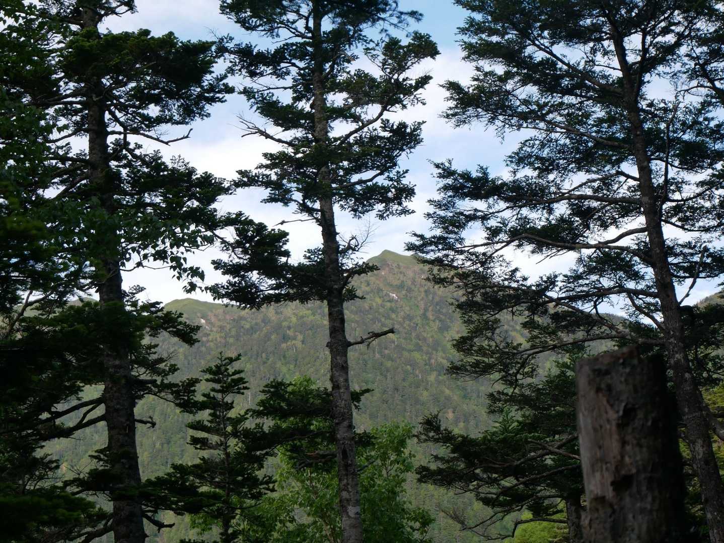 フラつきながら登山道を進んで
蝶槍が見えます🦋
あそこまで行く予定で😅
した😔
