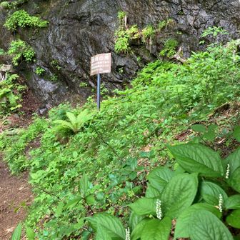 浅間の滝
木花咲耶姫をお祀りした祠と二人静