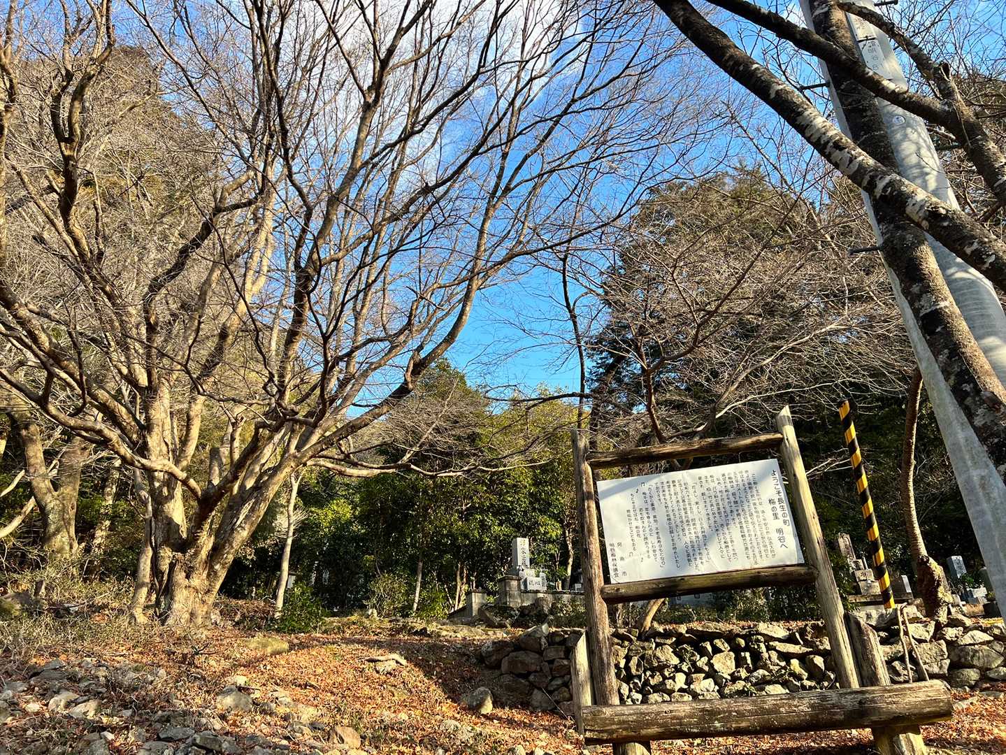 みなさんの登り口はスルー 