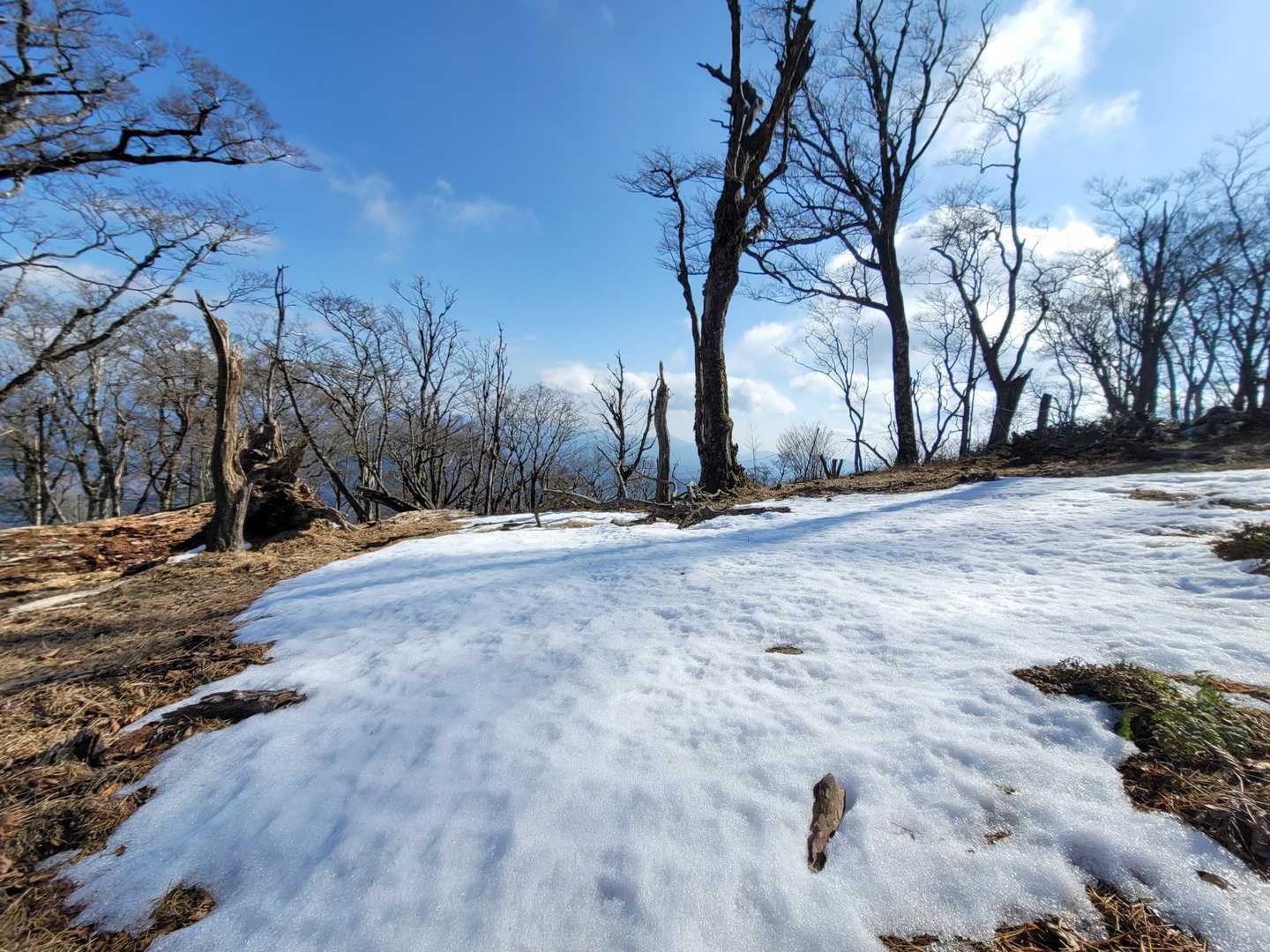 白髪岳新登山口-猪ノ子伏-三池神社-白髪岳-陀来水岳 周回コースの写真