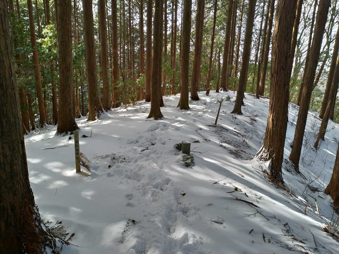 山頂標識はなし