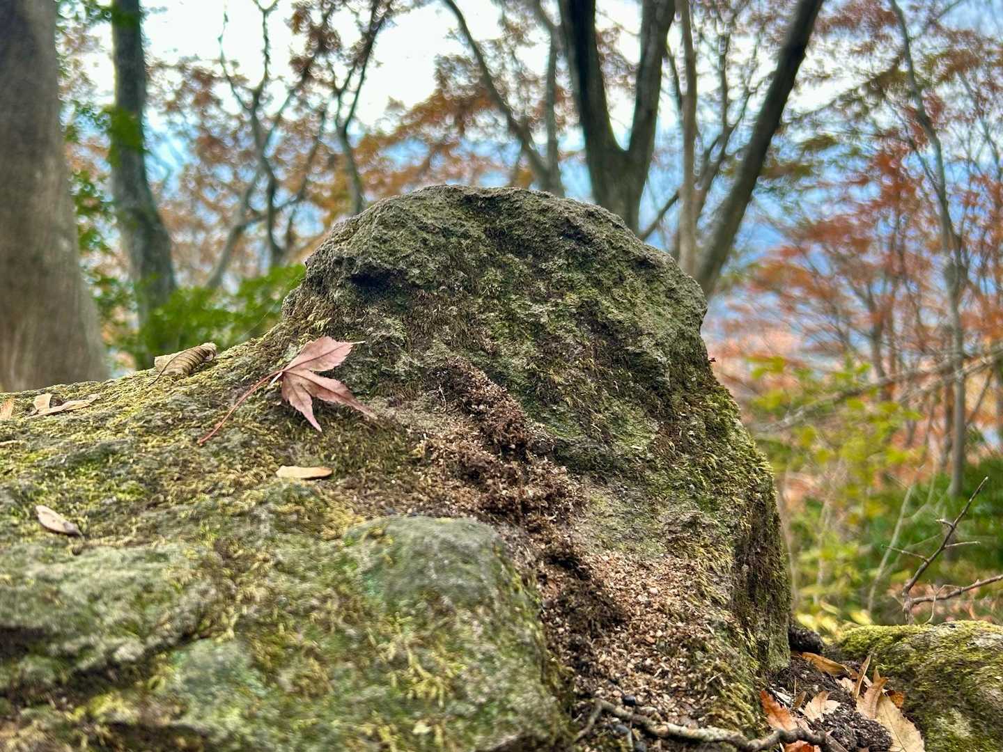 ほっぺに落ち葉の
ほんのり
ニッコリ岩((´∀｀*))