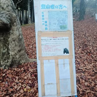 熊🐻の目撃情報が