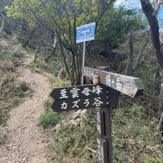 下山はカズラ谷