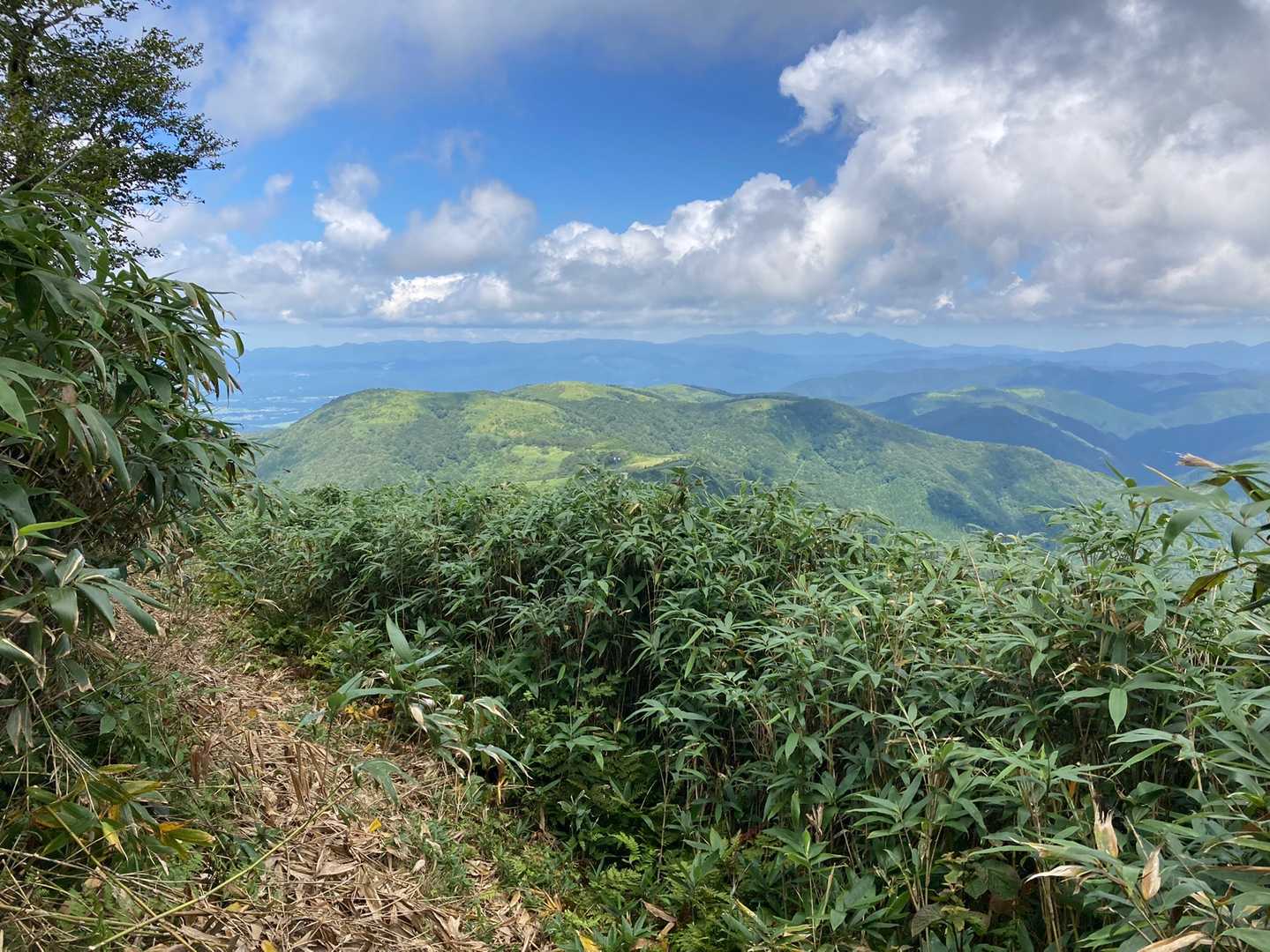 ほんと綺麗な山なんですが、YAMAPにもピークがないので登れないのかな