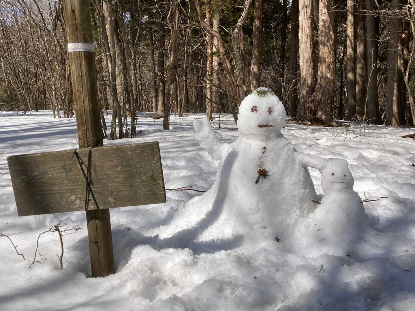 あまりに何もなかったので、親子雪ダルマを作ってきました☃️暖かいのですぐ溶けちゃうでしょうけど😅