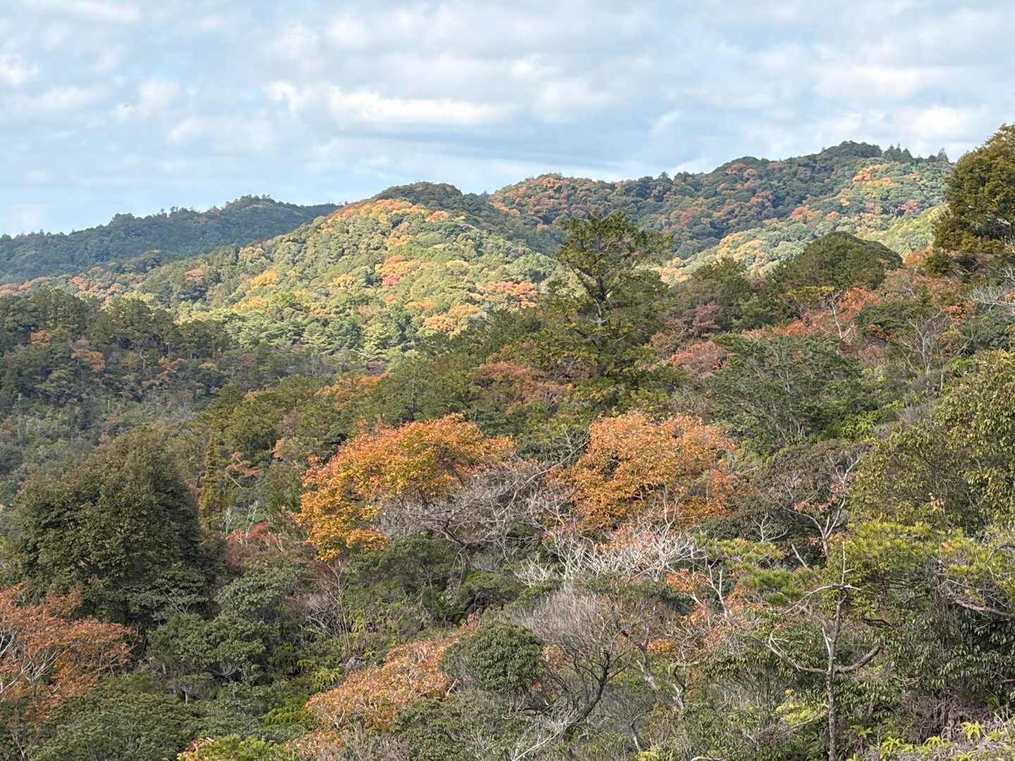秋🍁ですね。