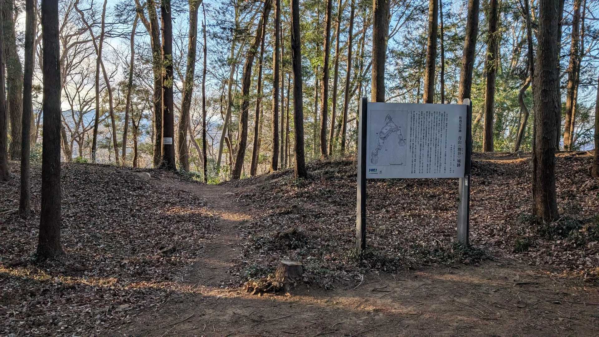 城山（青山城跡）に到着。
松山城の支城とのこと。郭、堀切、土塁などが保存されています。