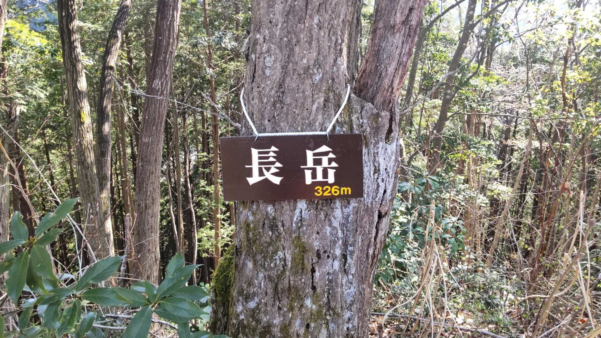 往路で見過ごしたらしい