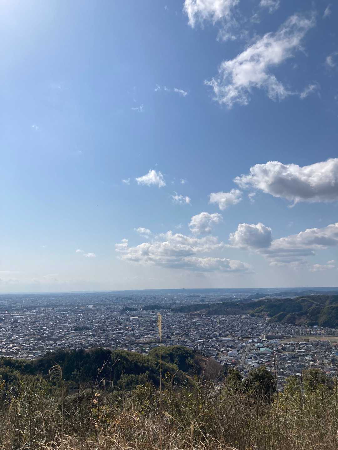 朝日稲荷神社-潮山 周回コースの写真