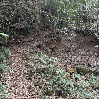 写真で見るより急坂。