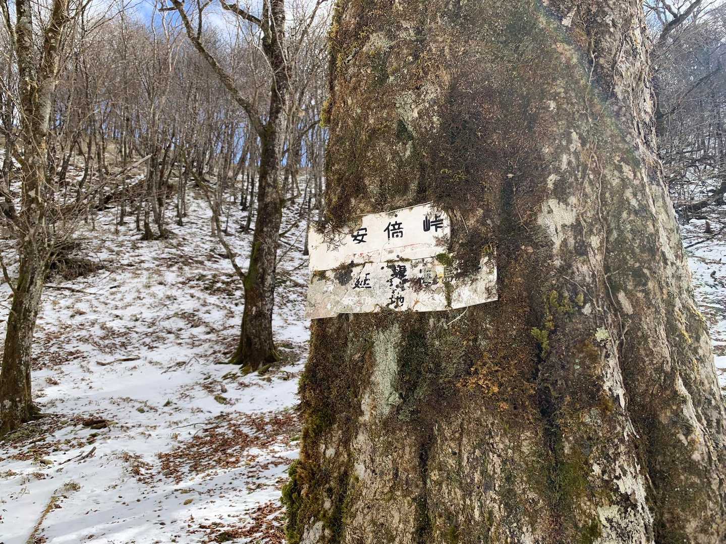急登そうだけど、行けるとこまで行ってみよう