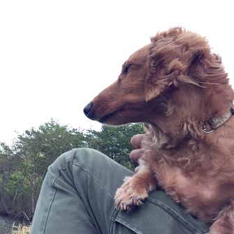 コン太(ちゃりんこ)