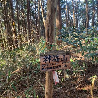 神の福の山ってご利益ありそうですね😁