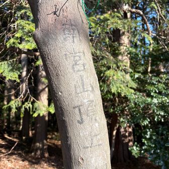 南宮山🙌

誰にも会わないと思ってたので
何組かの方とお会いする度にビビる😅

おまけに自分で鳴らした熊ホーンに飛び上がる🤣