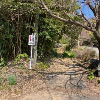 降りて、本道へ登り直します！💪