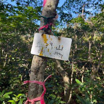 消えかかった山頂板
「土湯山577mおつかれさまでした」と書いてある