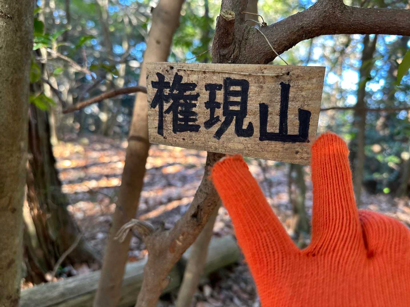 百々の隣の小さな山
権現山、初めて登山
オレンジの手袋はモンベルキッズ、ちゃんとメリノウールで980円