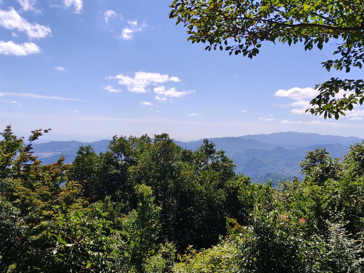 山頂からの眺望✨️

右側に六甲山⛰️