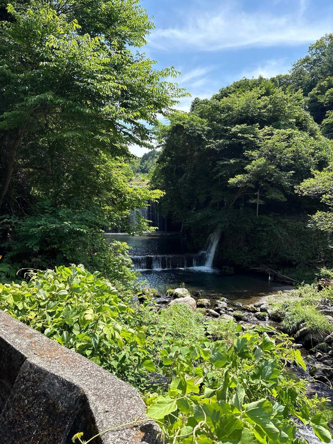 でも涼しげなこんな所もありました