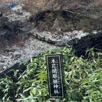 筒上山は神社だらけ
10個はあったかも