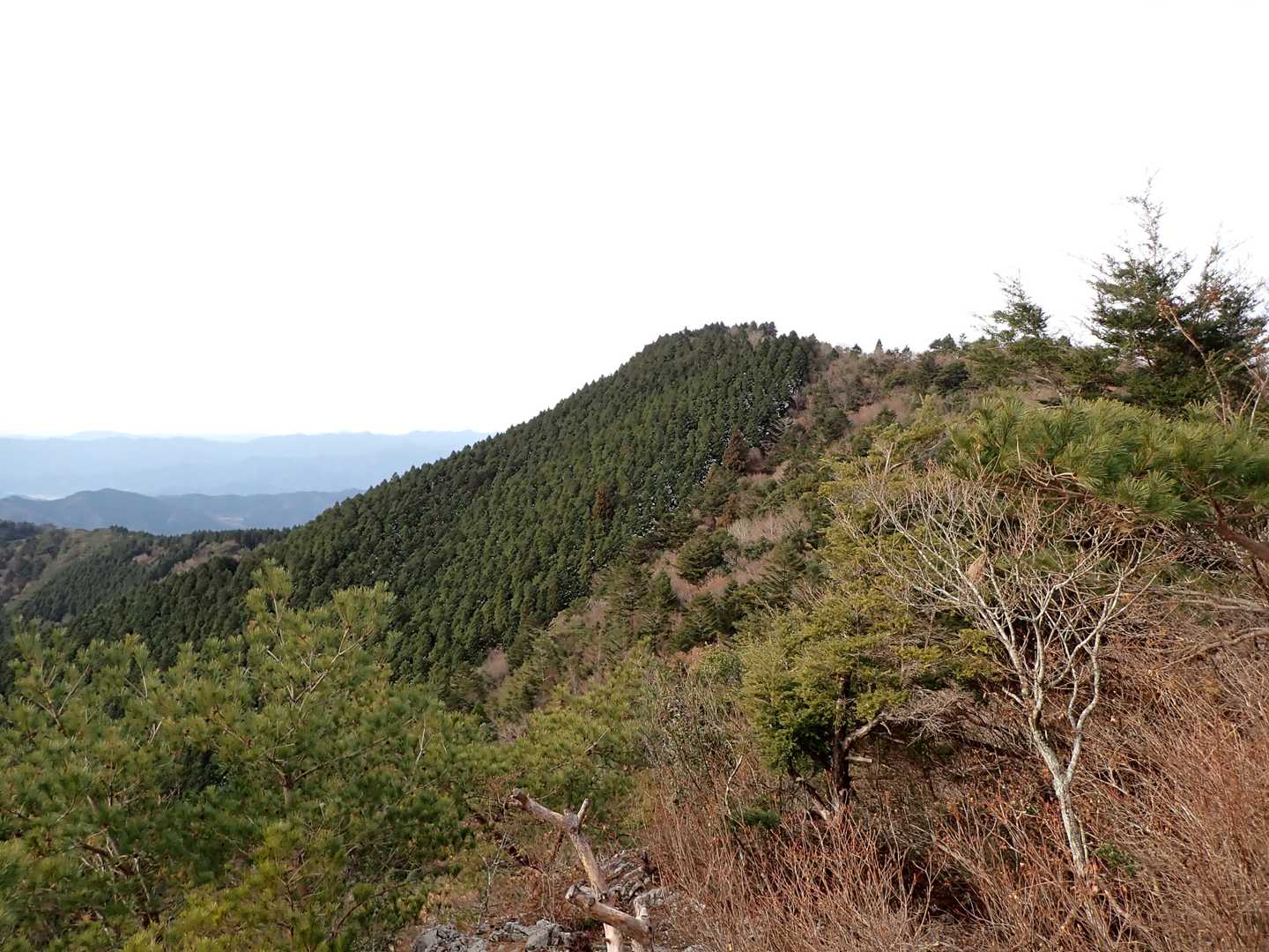 北谷コース登山口-鷹羽ヶ森-弘瀬登山口 周回コースの写真