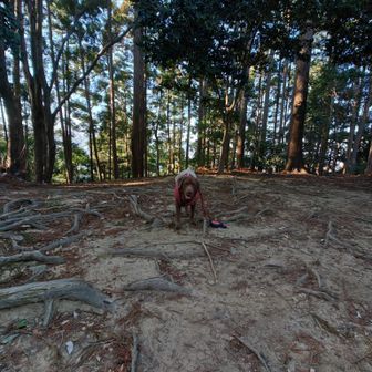暗くなってきました
駐車場5時までなので帰ります
